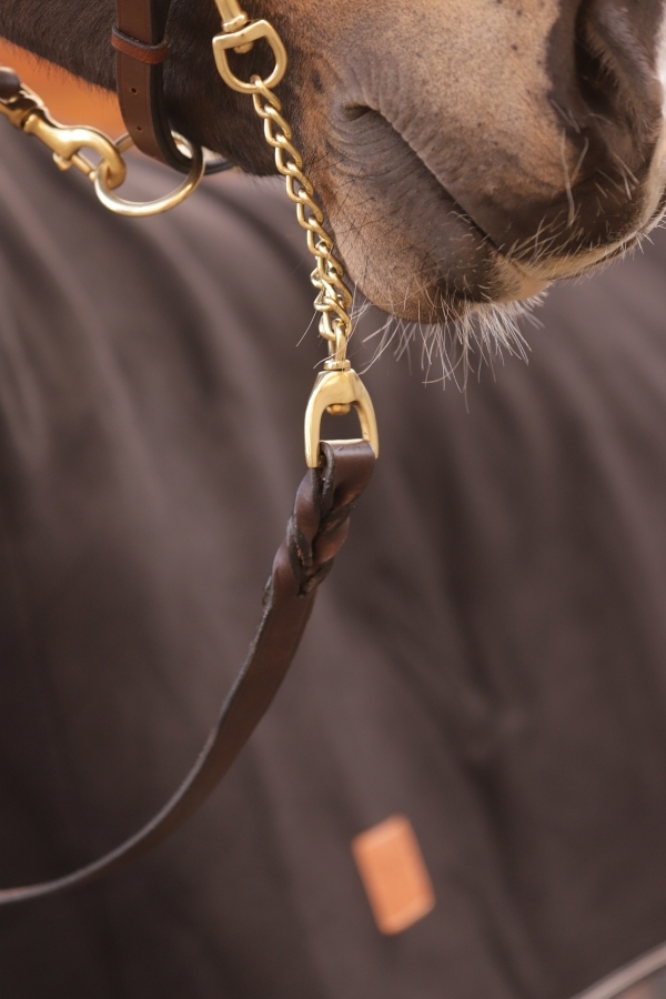 Longe de Présentation - Havane