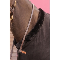 Longe de Présentation - Havane