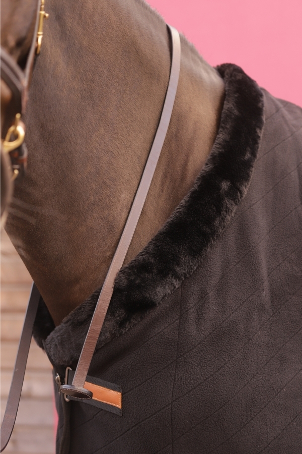 Longe de Présentation - Havane