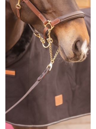 Longe de Présentation - Havane