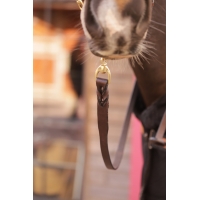 Longe de Présentation - Havane