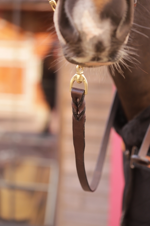 Presentation Lead Rope - Havana