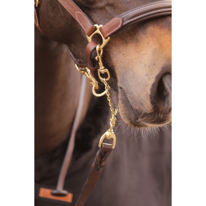 Longe de Présentation - Havane