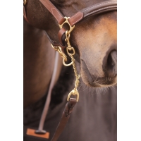 Longe de Présentation - Havane