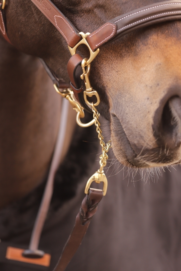 Presentation Lead Rope - Havana
