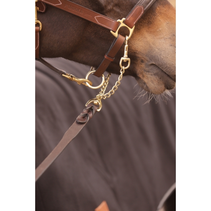 Presentation Lead Rope - Havana