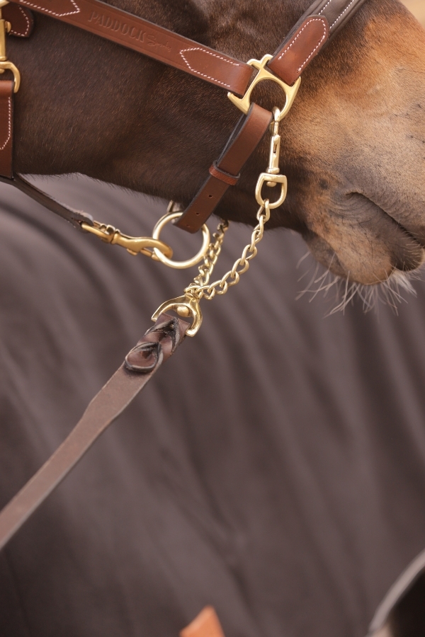 Longe de Présentation - Havane