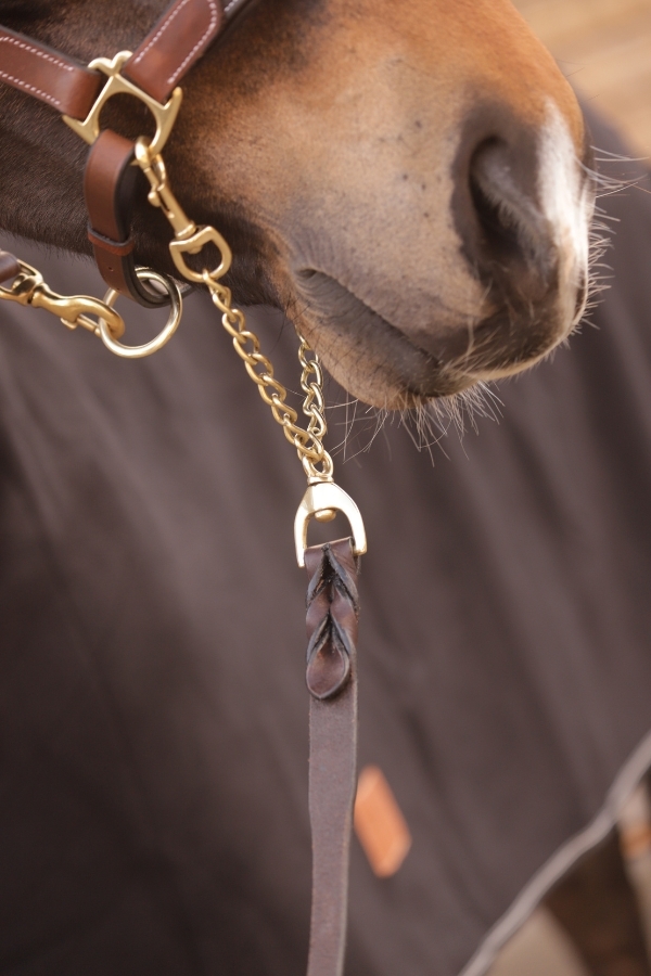 Presentation Lead Rope - Havana
