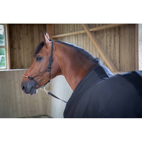 Light Mesh Stable Sheet - Black