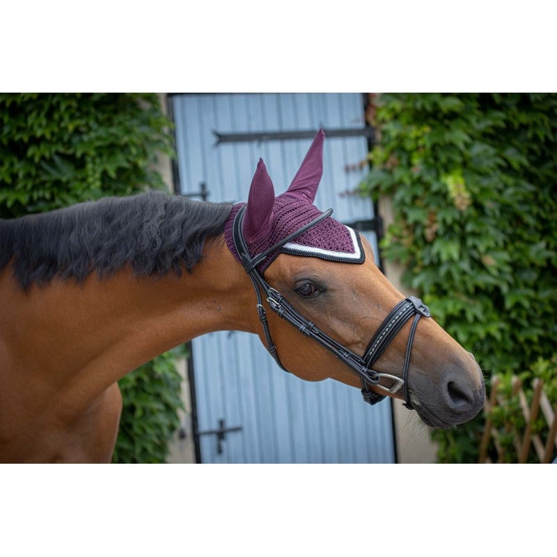 Bonnet Origine - Prune