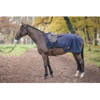 Waterproof Polar Fleece Exercise Sheet - Marine Waterproof Polar Fleece Exercise Sheet - Marine