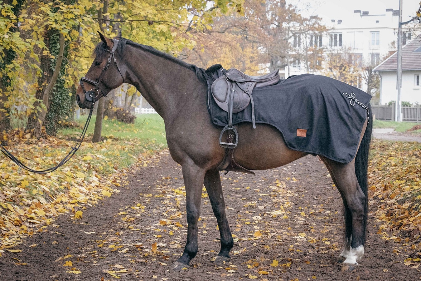 Waterproof Exercise Sheet - Black