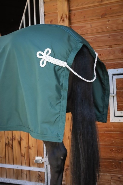 Prems Show Sheet - Green