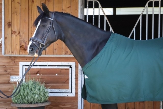 Prems Show Sheet - Green