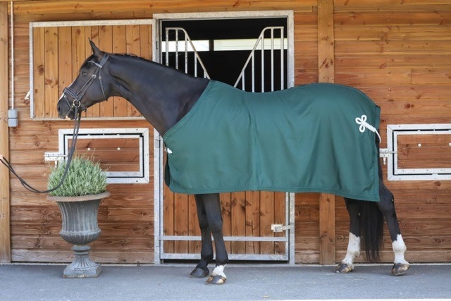 Prems Show Sheet - Green