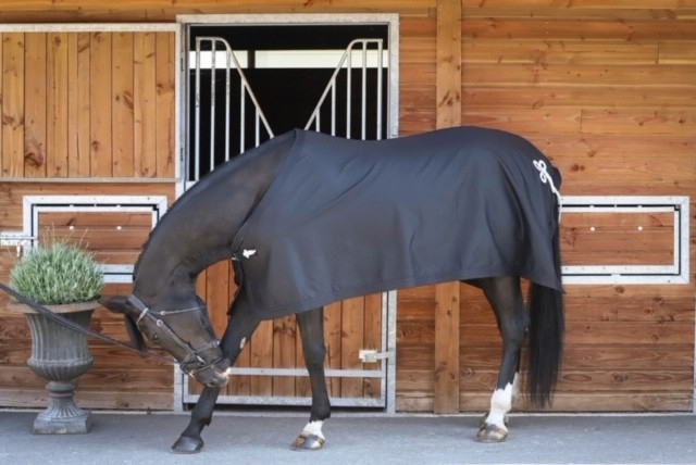 Chemise de Présentation - Noir