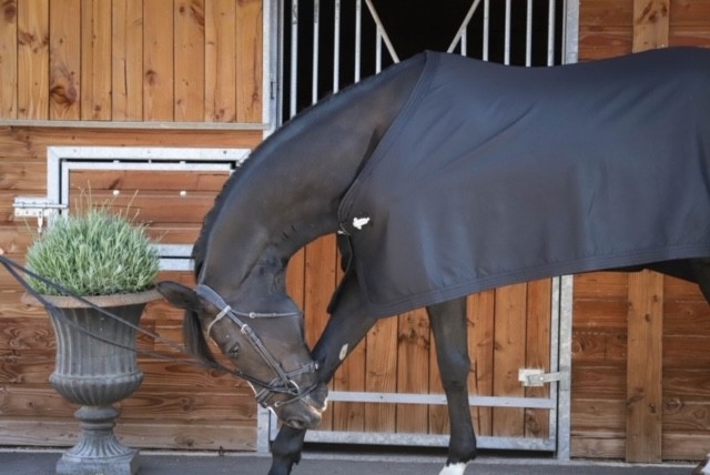 Chemise de Présentation - Noir