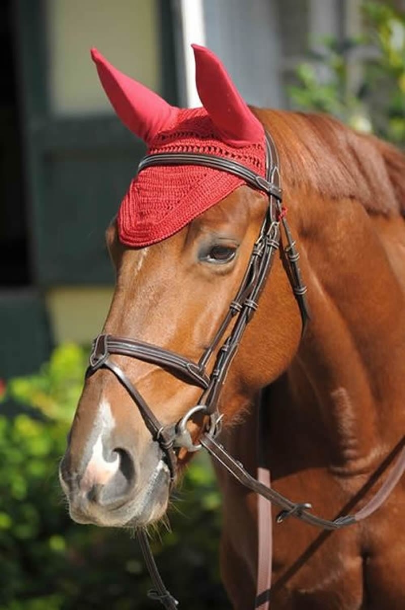 MON BONNET PRO COTON CHEVAL - Personnalisable MON BONNET PRO COTON CHEVAL - Personnalisable