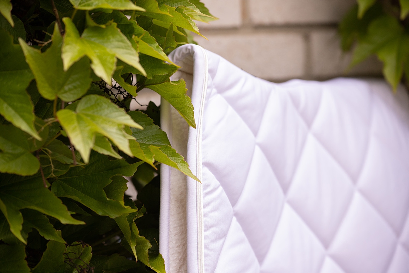 Prems Plain Saddle Pad all purpose - White