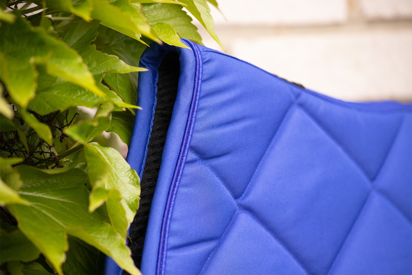 Prems Plain Saddle Pad all purpose - Royal blue