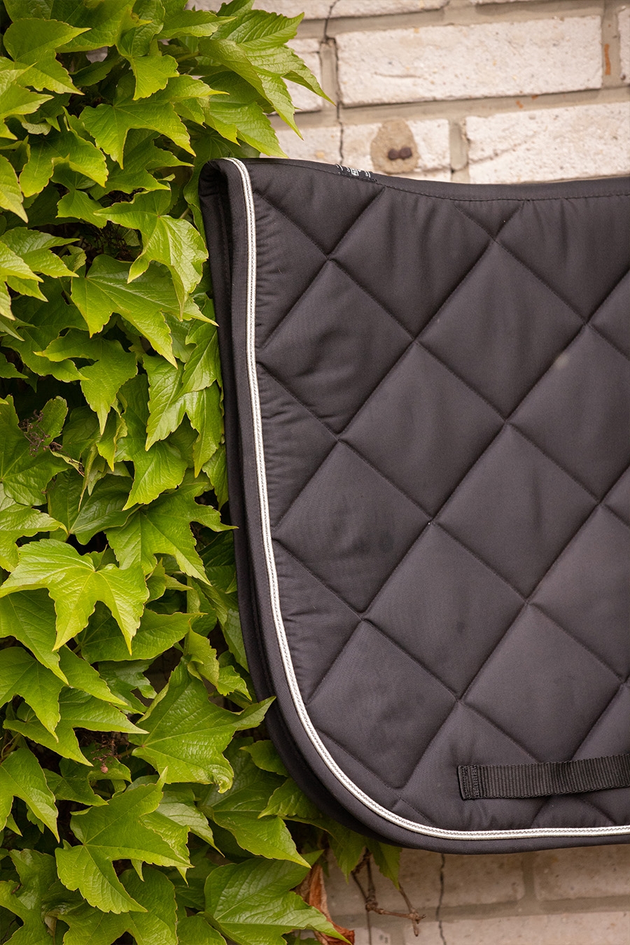 Tapis de Selle Prems écusson Dressage - Noir