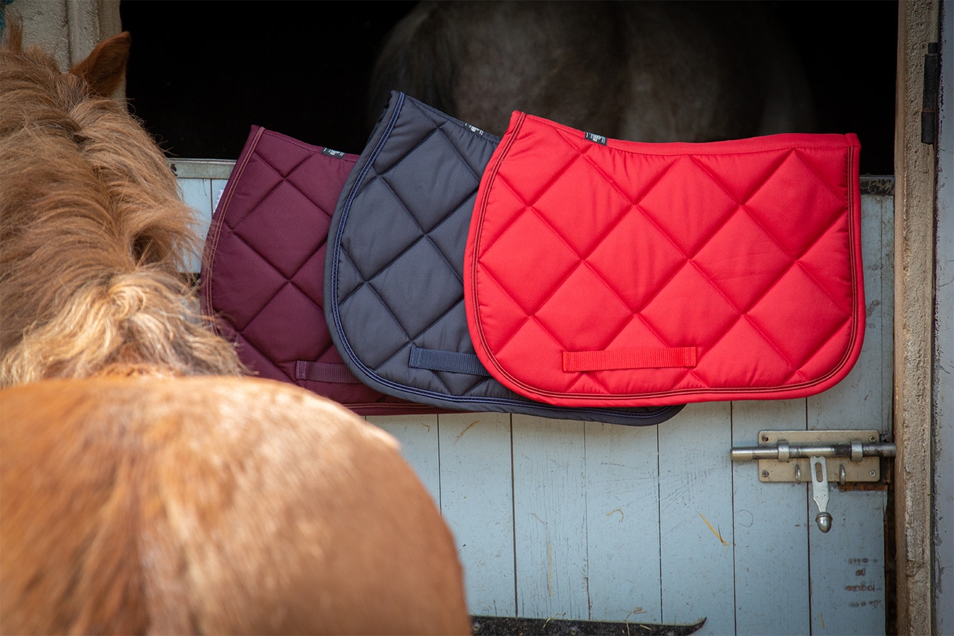 Prems Plain Saddle Pad all purpose - Plum