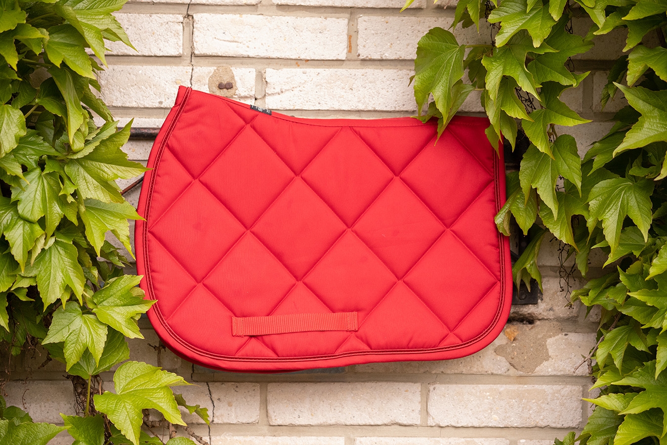 Prems Plain Saddle Pad all purpose - Red