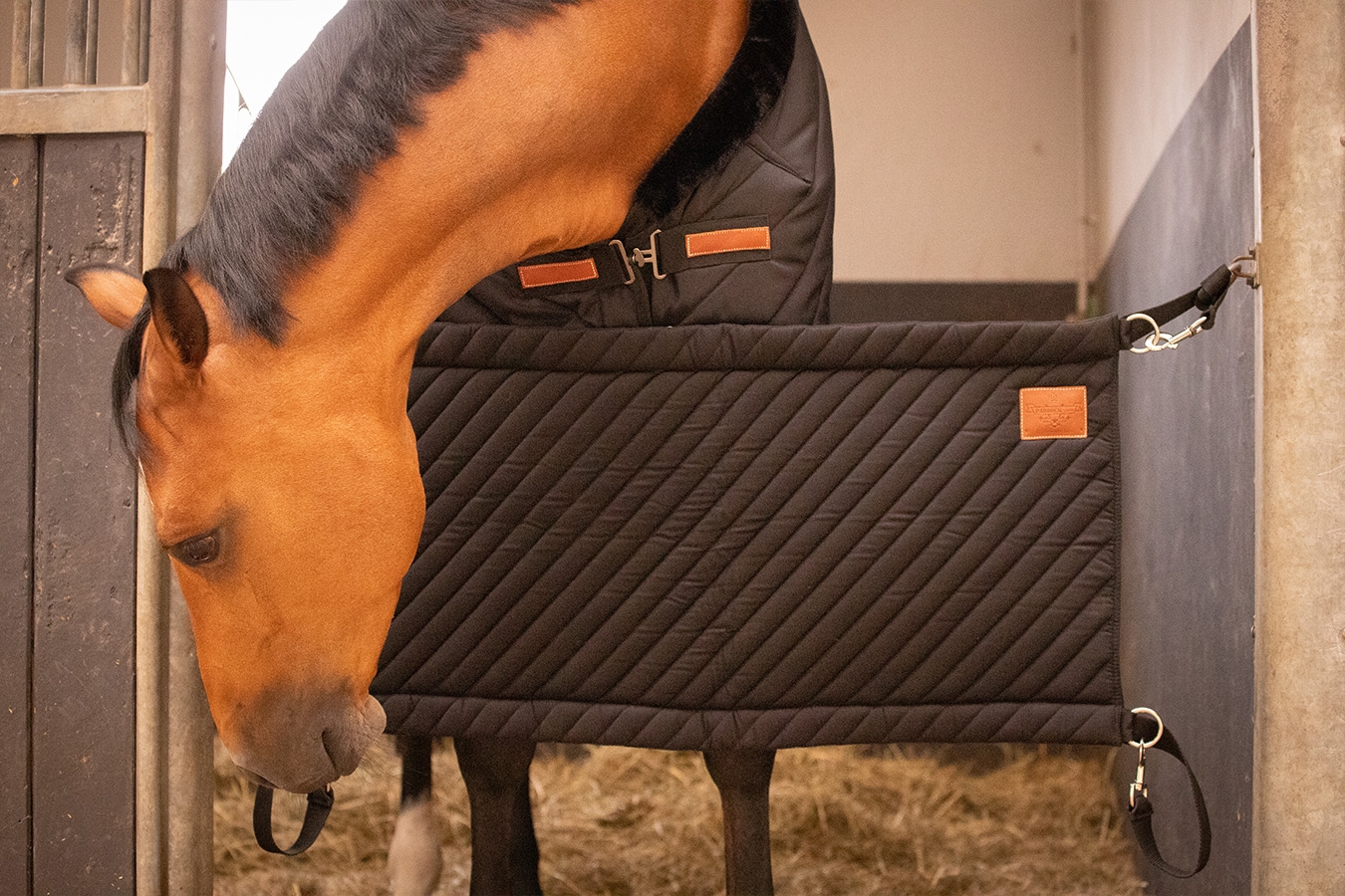 Porte de Box Diagonal - Noir