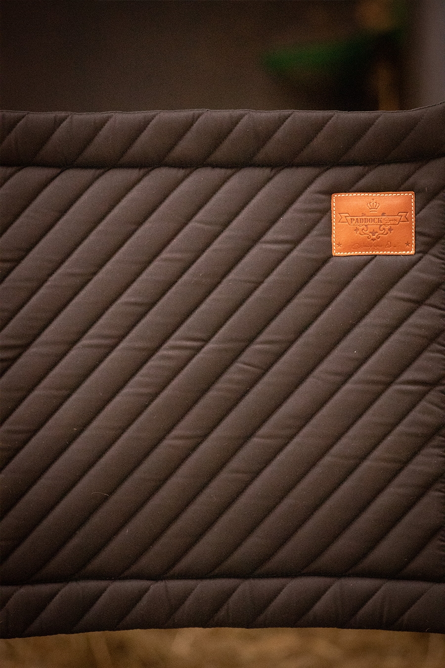 Diagonal Stall Door - Black