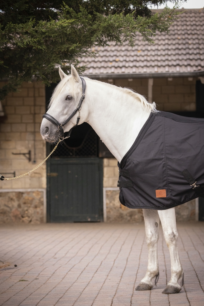 Light Mesh Stable Sheet - Black