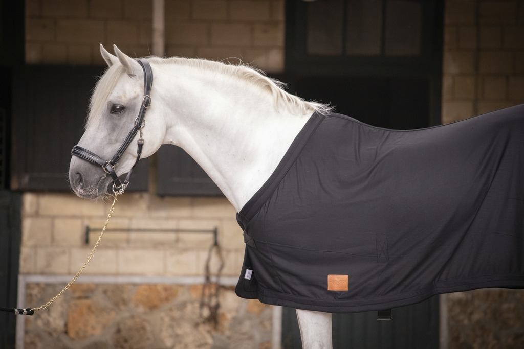 Chemise séchante - Noir