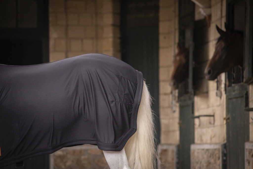 Chemise séchante - Noir