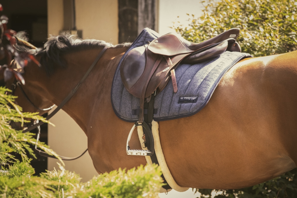 Chevron Saddle Pad All purpose - Grey