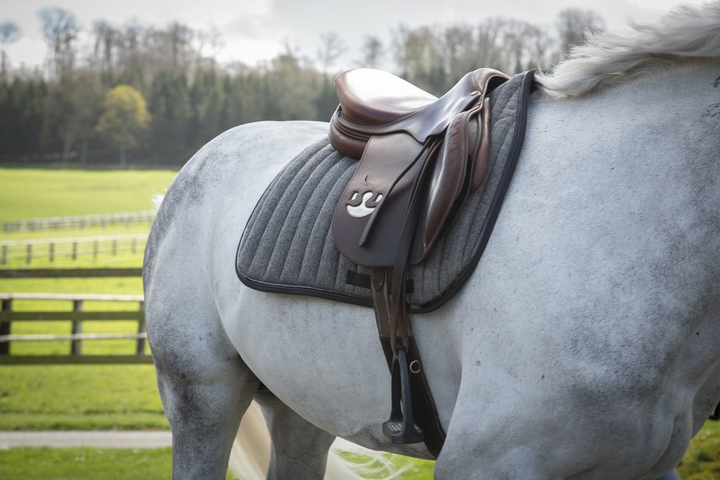 Chevron Saddle Pad All purpose - Grey