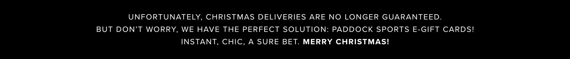 Christmas Delivery Banner EN