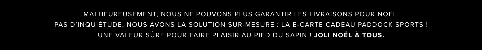 Bannière Livraison Noël FR